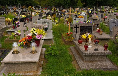 Cemetery plots. Things To Know About Cemetery plots. 